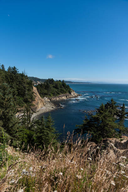 istock Blue sky summer afternoon on the Oregon Coast 1573279160