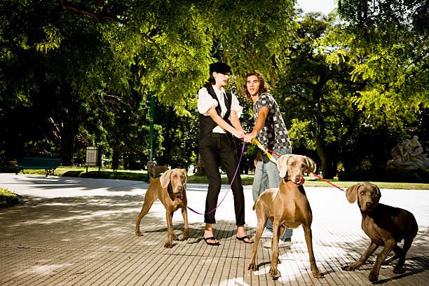 Teenage boy assisting to a lady with her three dogs.