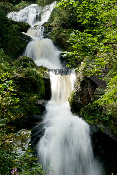 Danube waterfall in the Black Forest in Germany with blurred motion on the falling water in summer