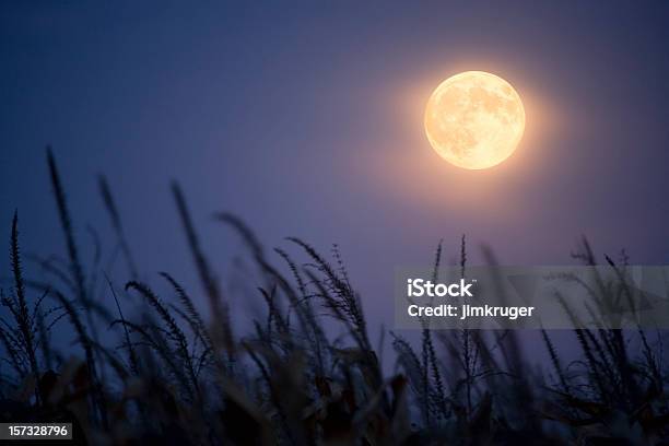 Erntemond Stockfoto und mehr Bilder von Vollmond - Vollmond, Mond, Herbst-Vollmond