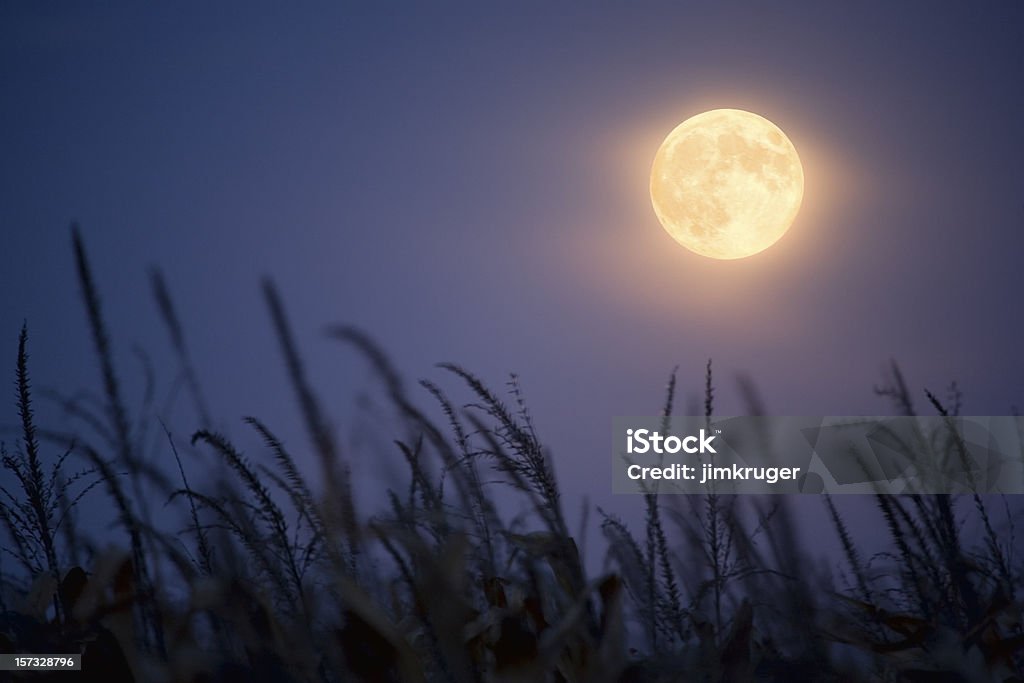 Luna dell'equinozio. - Foto stock royalty-free di Luna piena