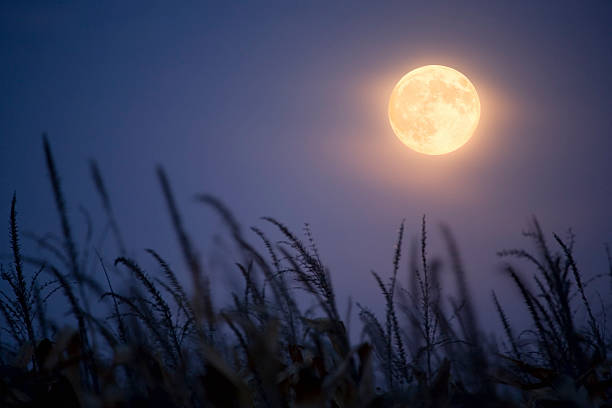 luna dell'equinozio. - luna piena foto e immagini stock