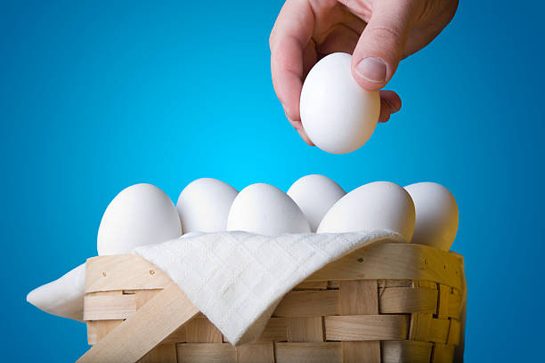 All Your Eggs In One Basket stock photo