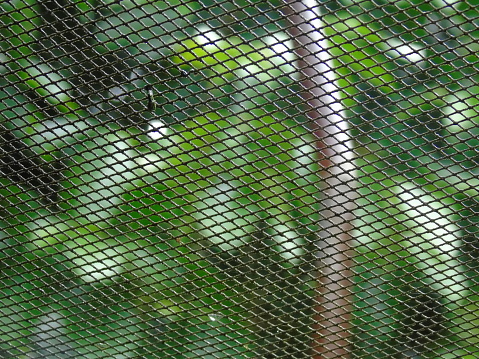 wire netting taken closely. This picture was taken from Central Java, Indonesia