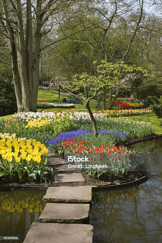 Primavera en jardines de Keukenhof - Foto de stock de Flor libre de derechos