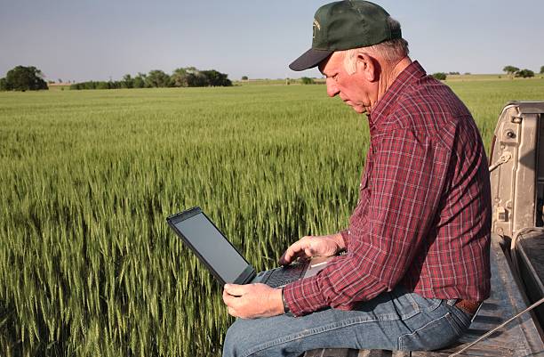 landwirtschaft: farmer oder rancher mit computer in wheat field - farmer rural scene laptop computer stock-fotos und bilder
