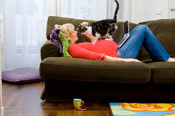 cat on pregnant woman
