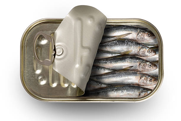 tinned sardinen - blechbuechse stock-fotos und bilder