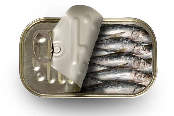 Photo of Tinned sardines