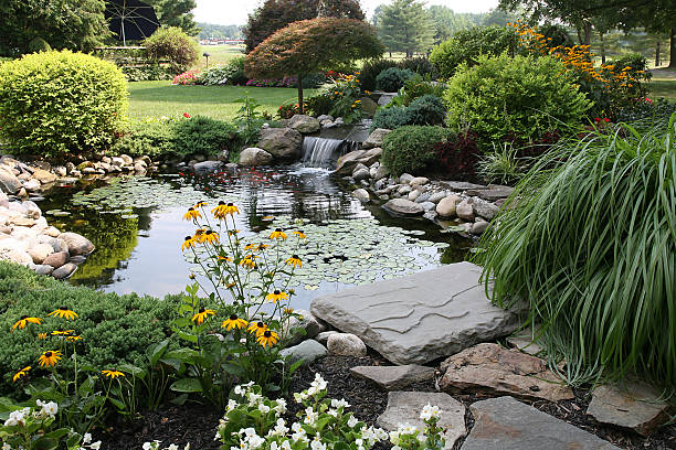 the perfect backyard  pond stock pictures, royalty-free photos & images