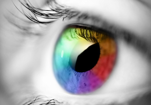 macro de ojos multicolor photo