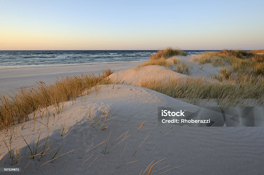 dunes de sable - Photo de Plage libre de droits