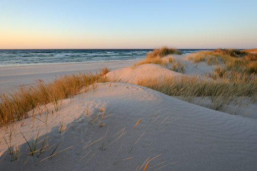 A beautiful sand dunes near the beach during sunrise