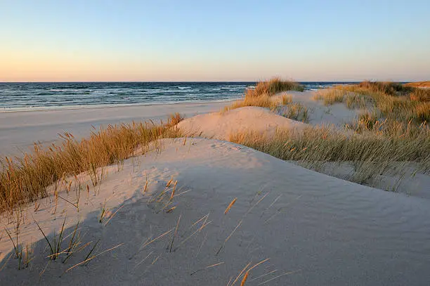 Photo of A beautiful sand dunes near the beach during sunrise