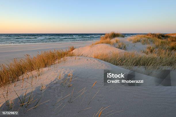 Sand Dunes - zdjęcia stockowe i więcej obrazów Plaża - Plaża, Wydma, Szwecja