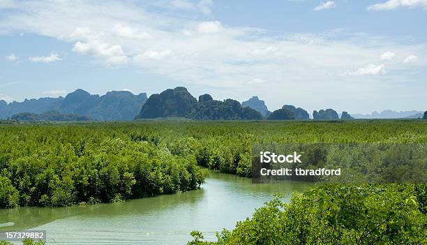 Bucht Von Phang Nga Thailand Stockfoto und mehr Bilder von Andamanensee - Andamanensee, Berg, Besuchen