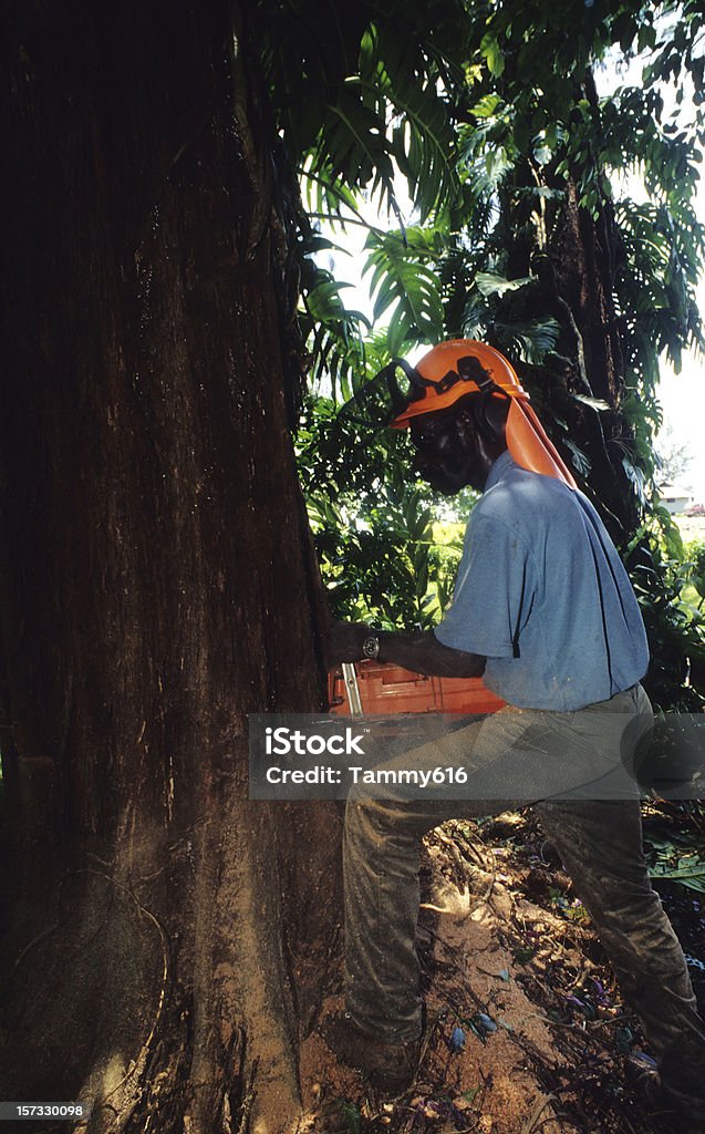 Man Chopping Down Tree Logging trees. African Ethnicity Stock Photo