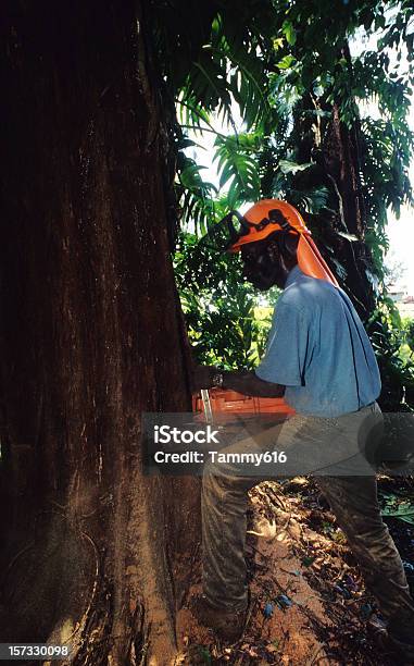 Homem A Cortar Para Baixo Árvore - Fotografias de stock e mais imagens de Floresta - Floresta, Origem Africana, Serra Articulada