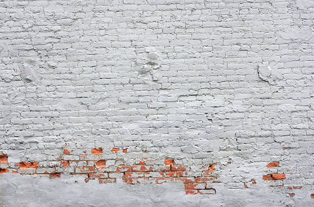 białym tle ściany z cegły - mur obronny mur zdjęcia i obrazy z banku zdjęć