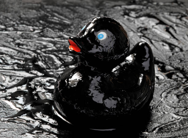 Waste oil on rubber duck.