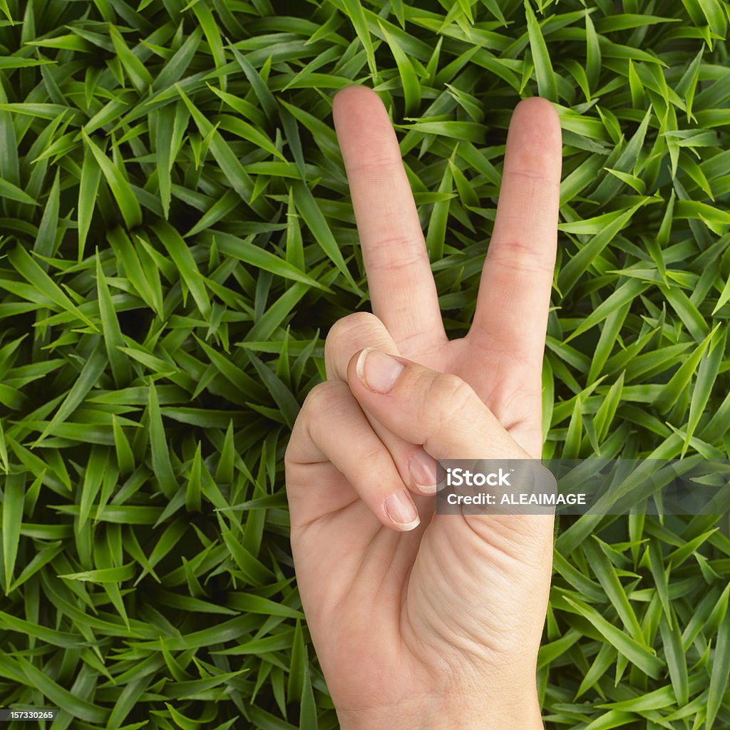 Victory-Zeichen auf Gras - Lizenzfrei V-Form Stock-Foto