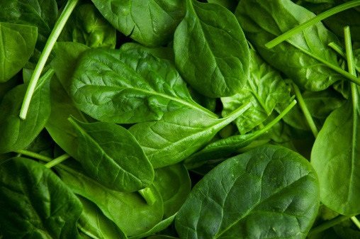 Pile of fresh green baby spinach leaves isolated on white background. Espinach Close up. Flat lay. Food concept.