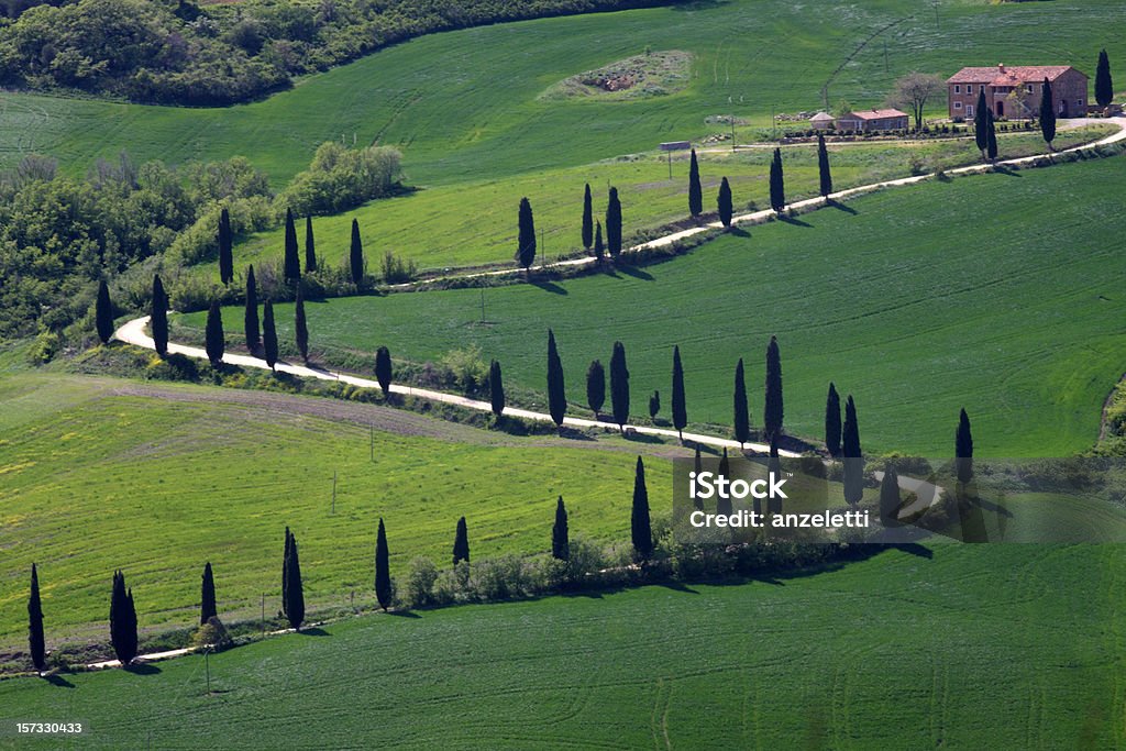 Estrada sinuosa do país na Toscana - Foto de stock de Monte Amiata royalty-free