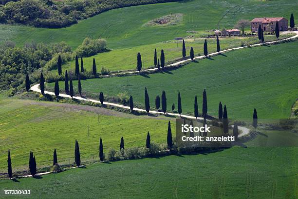 Foto de Estrada Sinuosa Do País Na Toscana e mais fotos de stock de Monte Amiata - Monte Amiata, Agricultura, Ajardinado