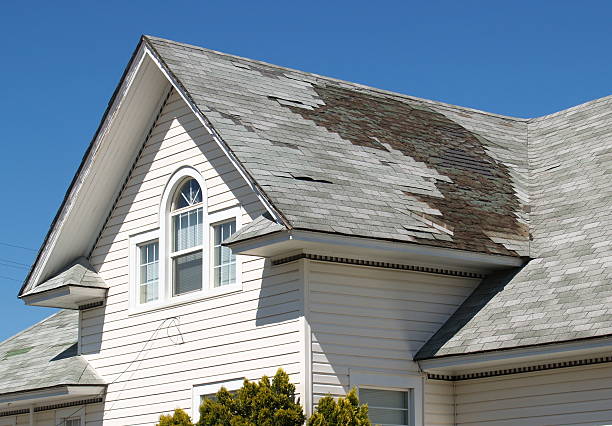 Roof shingles with large hailstones after hail storm