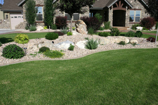 istock Garden with shrubs and rockery 157330542