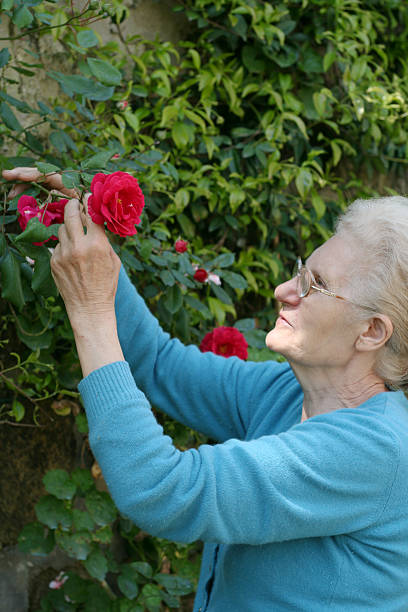 istock Aged Woman Looking at Rose 157330908