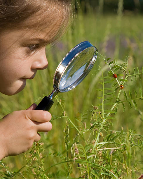 istock A little girl using a magnifying glass outside 157331110