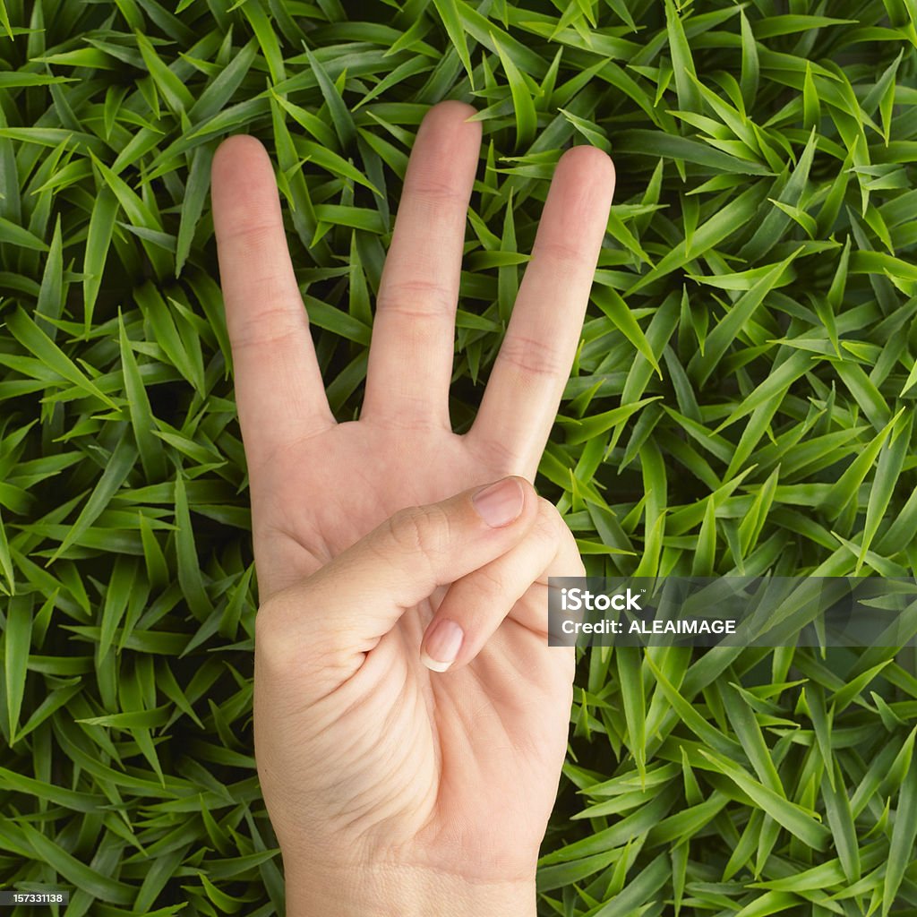 Hand 3 - Lizenzfrei Drei Gegenstände Stock-Foto