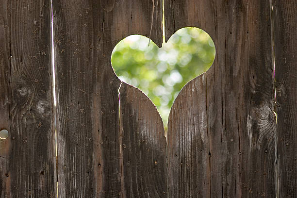 istock Wooden door 157331436