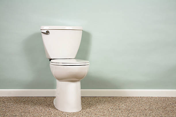 Toilet with copyspace One toilet in carpeted room with blank wall for copy. toilet photos stock pictures, royalty-free photos & images