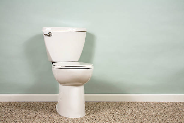 Toilet with copyspace One toilet in carpeted room with blank wall for copy. toilet bowl stock pictures, royalty-free photos & images