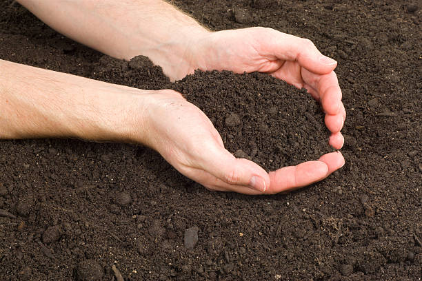 Hands In The Garden Hands In The Garden topsoil stock pictures, royalty-free photos & images