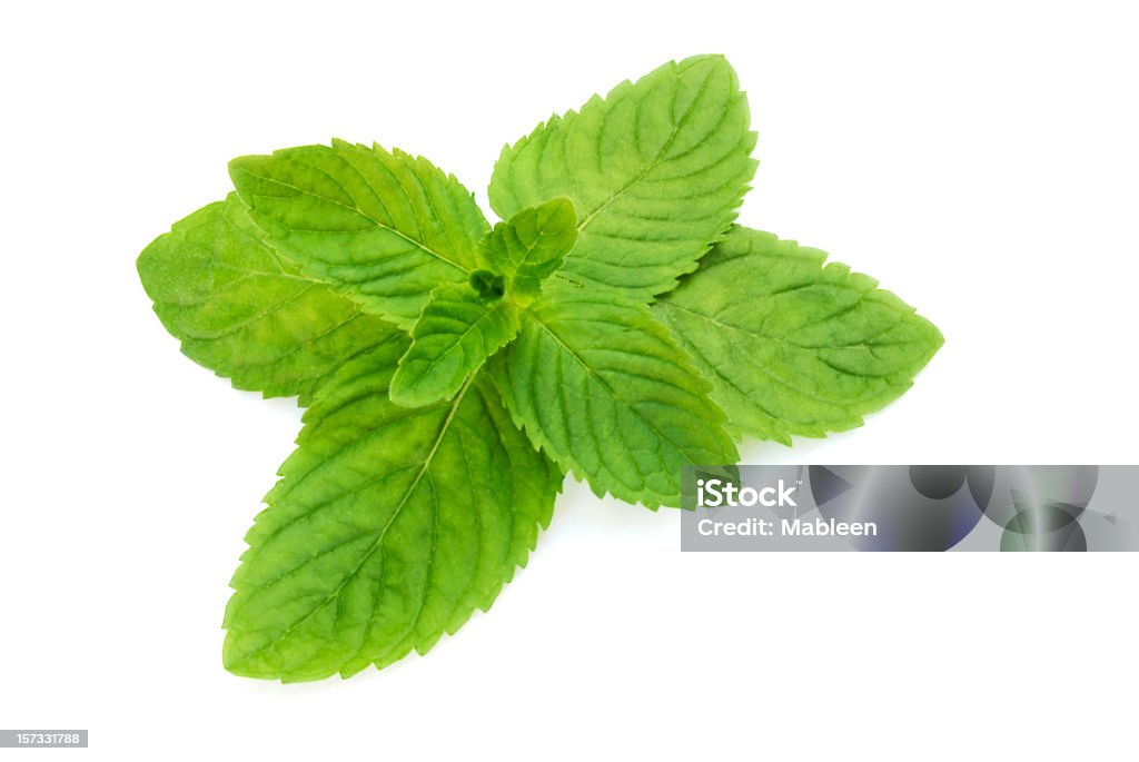 Menta fresca (Mentha - Foto de stock de 2000-2009 libre de derechos