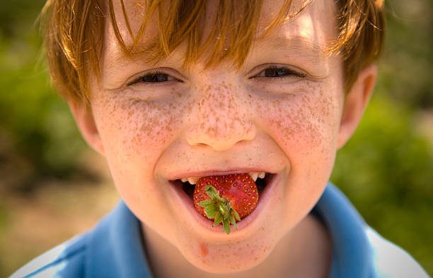 junge sommersprosse gesicht isst erdbeere frucht, kind verkostung gesunde speisen - sommersprosse fotos stock-fotos und bilder