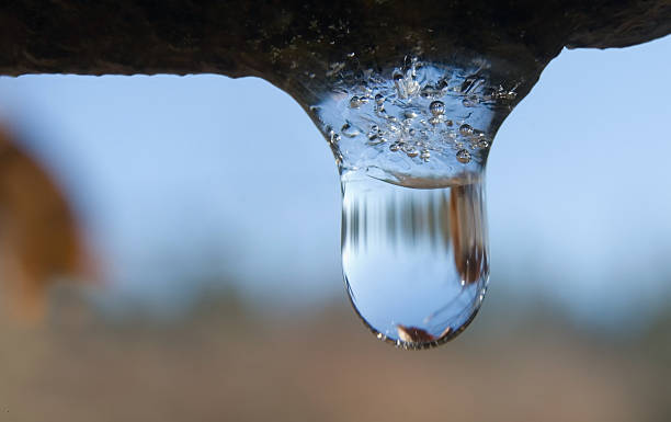 drop - melting ice icicle leaking стоковые фото и изображения