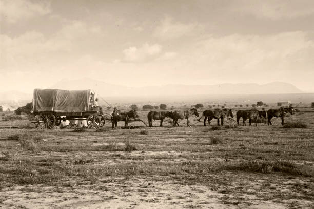 en treck - siglo xix fotografías e imágenes de stock