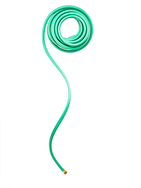 A green garden hose on a white background Wound up green garden hose on white.

[url=/file_search.php?action=file&amp;lightboxID=3852548]"JUST STUFF ON WHITE" view MORE images here...[/url]
[url=/file_search.php?action=file&amp;lightboxID=3852548][img]/file_thumbview_approve.php?size=1&amp;id=5299043[/img][/url] [url=/file_search.php?action=file&amp;lightboxID=3852548][img]/file_thumbview_approve.php?size=1&amp;id=4877926[/img][/url] [url=/file_search.php?action=file&amp;lightboxID=3852548][img]/file_thumbview_approve.php?size=1&amp;id=6018855[/img][/url][url=/file_search.php?action=file&amp;lightboxID=3852548][img]/file_thumbview_approve.php?size=1&amp;id=5848856[/img][/url]

[url=/file_search.php?action=file&amp;lightboxID=3850265]"GREEN &amp; NATURE" view MORE images here...[/url]
[url=/file_search.php?action=file&amp;lightboxID=3850265][img]/file_thumbview_approve.php?size=1&amp;id=5192040[/img][/url] [url=/file_search.php?action=file&amp;lightboxID=3850265][img]/file_thumbview_approve.php?size=1&amp;id=4910855[/img][/url] [url=/file_search.php?action=file&amp;lightboxID=3850265][img]/file_thumbview_approve.php?size=1&amp;id=5191856[/img][/url]  [url=/file_search.php?action=file&amp;lightboxID=3850265][img]/file_thumbview_approve.php?size=1&amp;id=5541322[/img][/url] garden hose photos stock pictures, royalty-free photos & images
