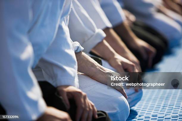 Aikido Stock Photo - Download Image Now - Aikido, Martial Arts, 30-39 Years