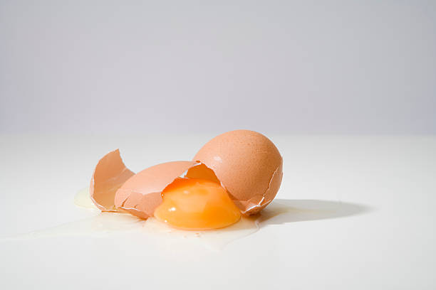 uovo rotto su bianco - eggs animal egg cracked egg yolk foto e immagini stock