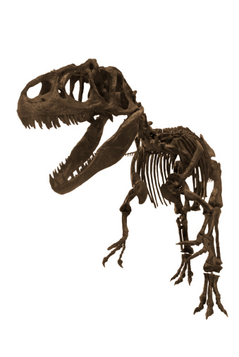 Mamenchisaurus dinosaur walk by sunset - 3D render