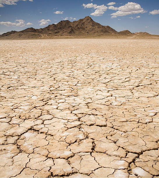 Dry Lake Bed stock photo