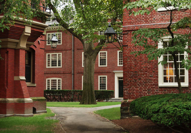 campus da universidade de harvard - harvard university - fotografias e filmes do acervo