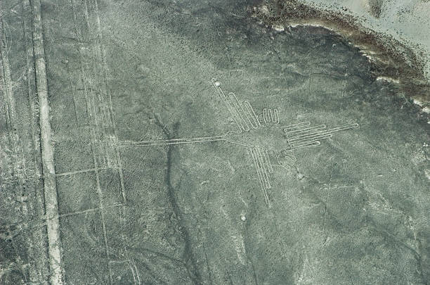 koliber i linii geoglyphs, rysunki z nazca w peru. - floating of ice zdjęcia i obrazy z banku zdjęć