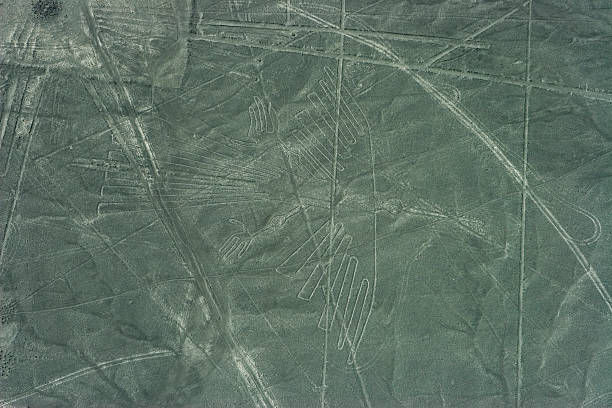 giant kondor nazca geoglif, peru - floating of ice zdjęcia i obrazy z banku zdjęć