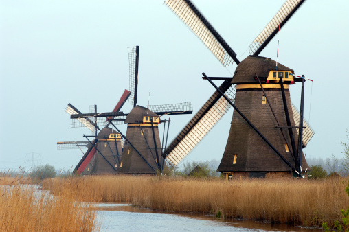 Traditional Dutch windmills at Kinderdijk, Netherlands in a row on an early spring morning